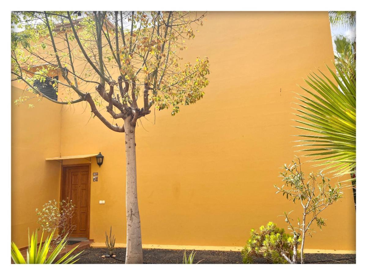 Tamarindo Pura Vida - Relax Y Vistas Al Mar Apartamento Corralejo Exterior foto